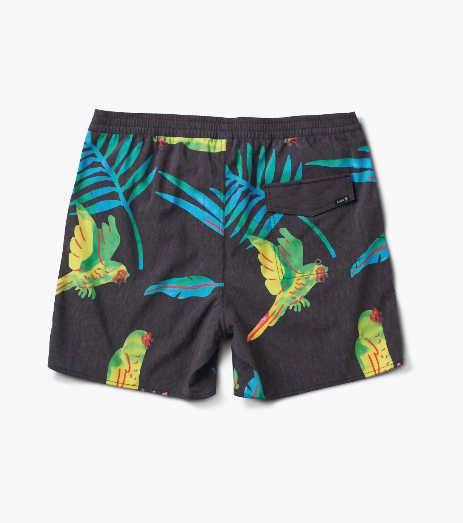 Men's Shorey Macaw Boardshorts In Black