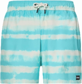 Oakley Men's Blur Stripes Recycled 16" Beachshort